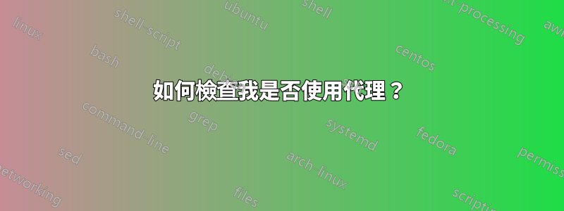 如何檢查我是否使用代理？
