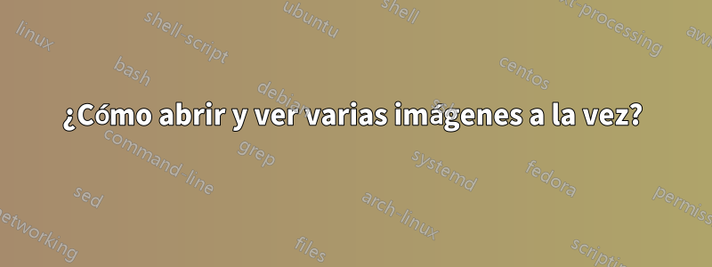 ¿Cómo abrir y ver varias imágenes a la vez?
