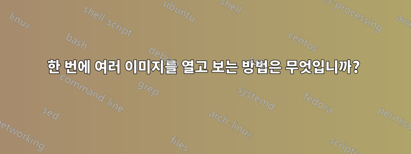 한 번에 여러 이미지를 열고 보는 방법은 무엇입니까?