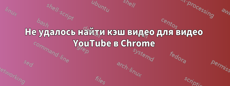 Не удалось найти кэш видео для видео YouTube в Chrome