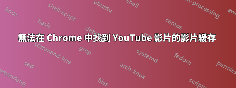 無法在 Chrome 中找到 YouTube 影片的影片緩存