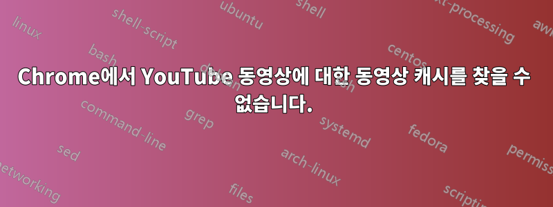 Chrome에서 YouTube 동영상에 대한 동영상 캐시를 찾을 수 없습니다.