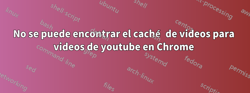 No se puede encontrar el caché de videos para videos de youtube en Chrome
