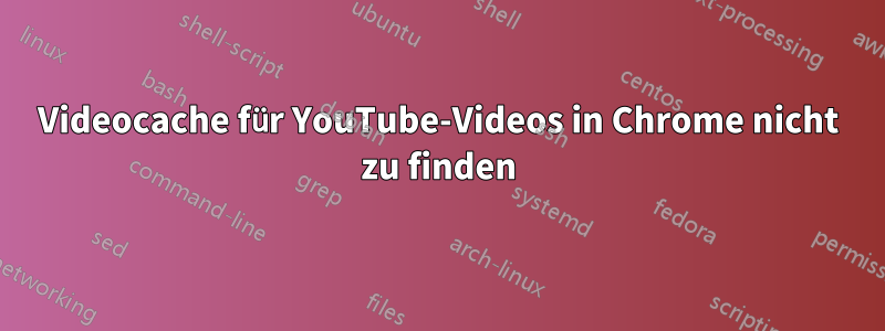 Videocache für YouTube-Videos in Chrome nicht zu finden