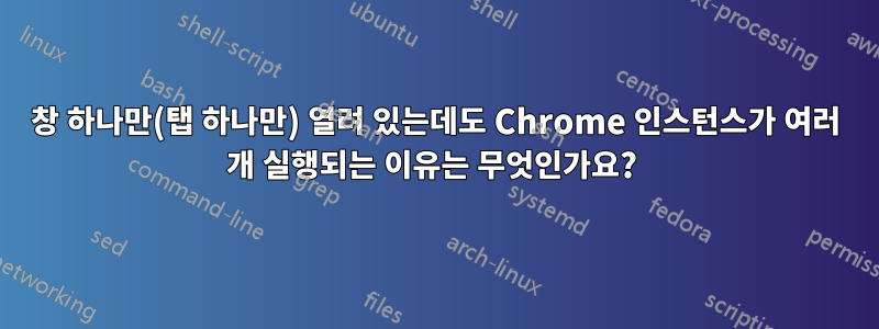 창 하나만(탭 하나만) 열려 있는데도 Chrome 인스턴스가 여러 개 실행되는 이유는 무엇인가요? 