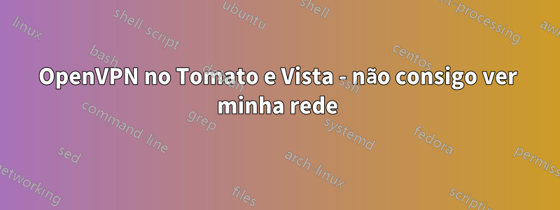 OpenVPN no Tomato e Vista - não consigo ver minha rede