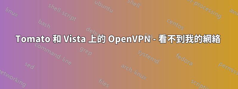 Tomato 和 Vista 上的 OpenVPN - 看不到我的網絡