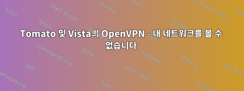 Tomato 및 Vista의 OpenVPN - 내 네트워크를 볼 수 없습니다