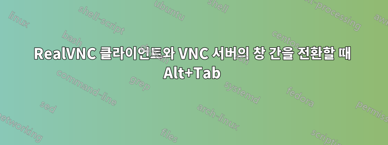 RealVNC 클라이언트와 VNC 서버의 창 간을 전환할 때 Alt+Tab