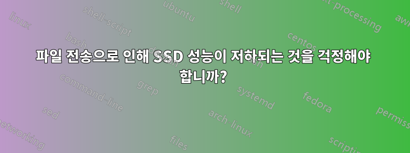 파일 전송으로 인해 SSD 성능이 저하되는 것을 걱정해야 합니까?