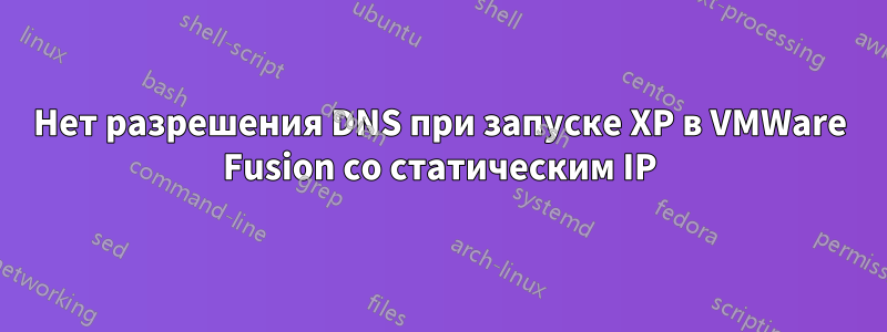 Нет разрешения DNS при запуске XP в VMWare Fusion со статическим IP