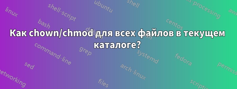 Как chown/chmod для всех файлов в текущем каталоге?