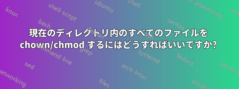 現在のディレクトリ内のすべてのファイルを chown/chmod するにはどうすればいいですか?