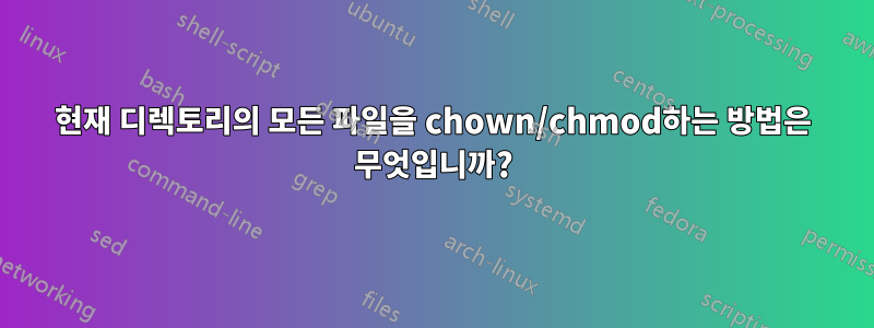 현재 디렉토리의 모든 파일을 chown/chmod하는 방법은 무엇입니까?