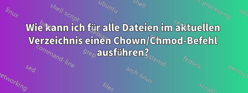 Wie kann ich für alle Dateien im aktuellen Verzeichnis einen Chown/Chmod-Befehl ausführen?