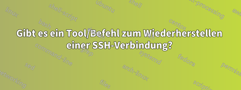 Gibt es ein Tool/Befehl zum Wiederherstellen einer SSH-Verbindung?