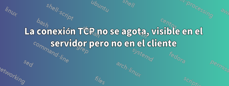 La conexión TCP no se agota, visible en el servidor pero no en el cliente