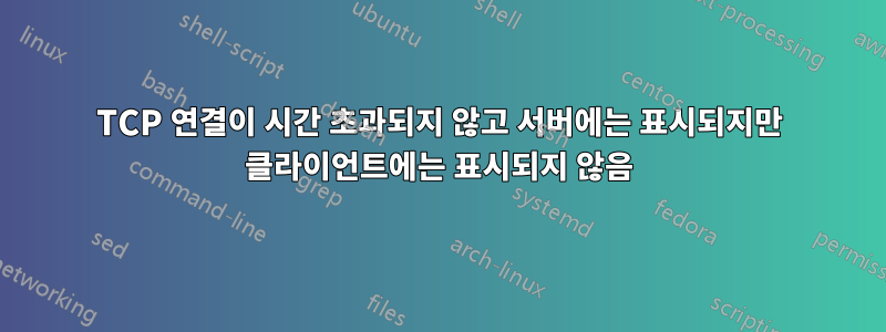 TCP 연결이 시간 초과되지 않고 서버에는 표시되지만 클라이언트에는 표시되지 않음