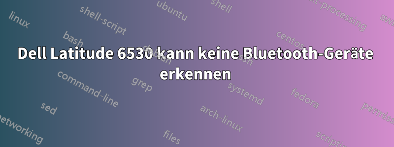 Dell Latitude 6530 kann keine Bluetooth-Geräte erkennen