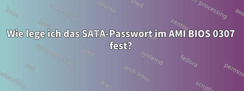 Wie lege ich das SATA-Passwort im AMI BIOS 0307 fest?