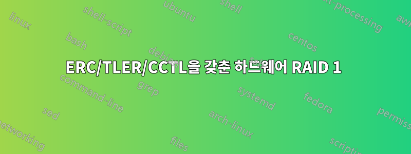 ERC/TLER/CCTL을 갖춘 하드웨어 RAID 1