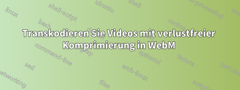 Transkodieren Sie Videos mit verlustfreier Komprimierung in WebM