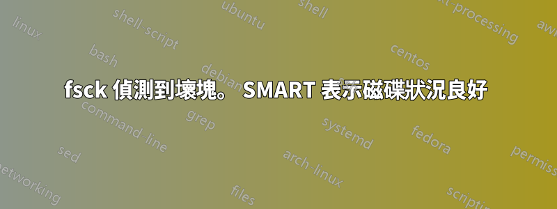 fsck 偵測到壞塊。 SMART 表示磁碟狀況良好