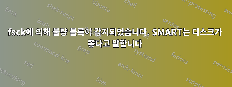 fsck에 의해 불량 블록이 감지되었습니다. SMART는 디스크가 좋다고 말합니다