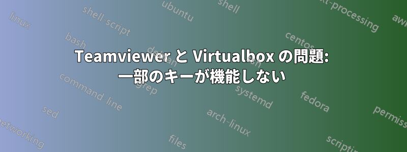 Teamviewer と Virtualbox の問題: 一部のキーが機能しない