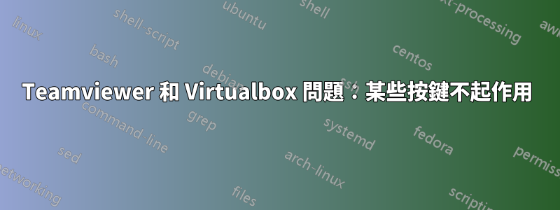 Teamviewer 和 Virtualbox 問題：某些按鍵不起作用