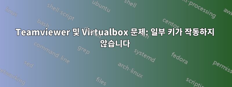 Teamviewer 및 Virtualbox 문제: 일부 키가 작동하지 않습니다