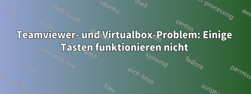 Teamviewer- und Virtualbox-Problem: Einige Tasten funktionieren nicht