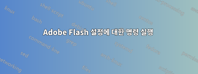 Adobe Flash 설정에 대한 명령 실행