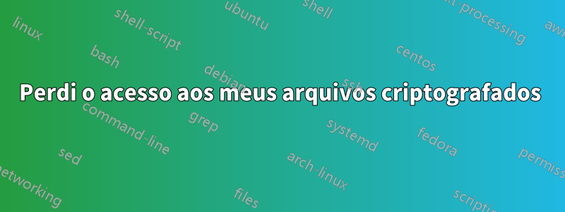 Perdi o acesso aos meus arquivos criptografados