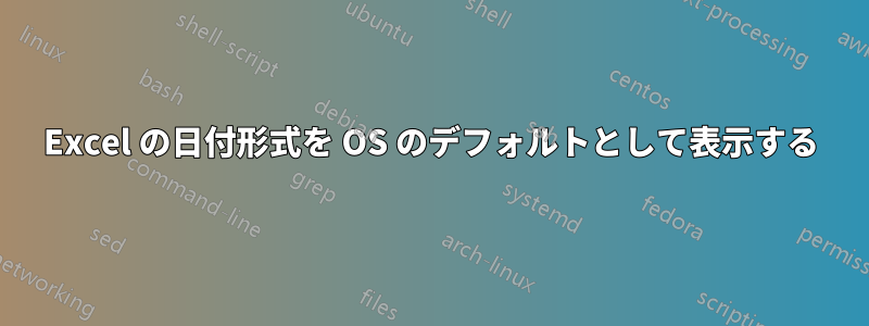 Excel の日付形式を OS のデフォルトとして表示する