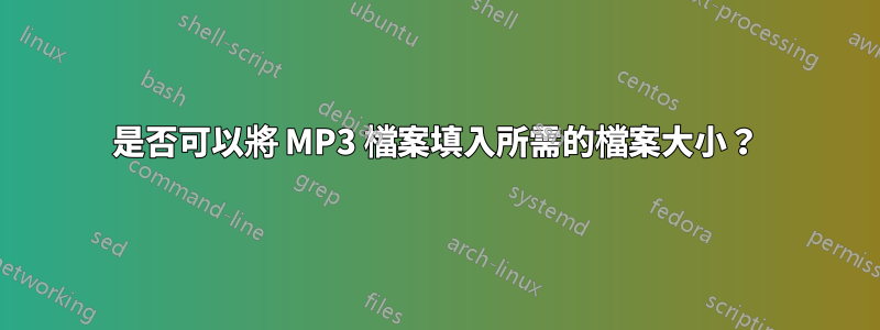 是否可以將 MP3 檔案填入所需的檔案大小？