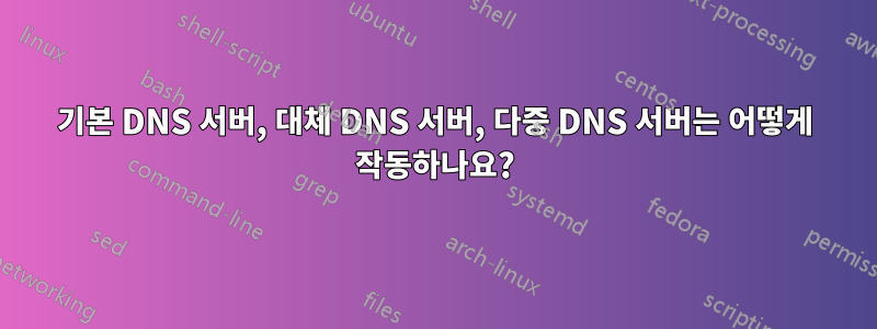 기본 DNS 서버, 대체 DNS 서버, 다중 DNS 서버는 어떻게 작동하나요?