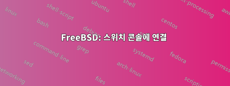 FreeBSD: 스위치 콘솔에 연결