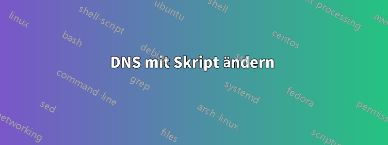 DNS mit Skript ändern