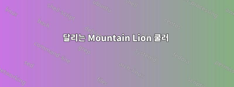 달리는 Mountain Lion 쿨러