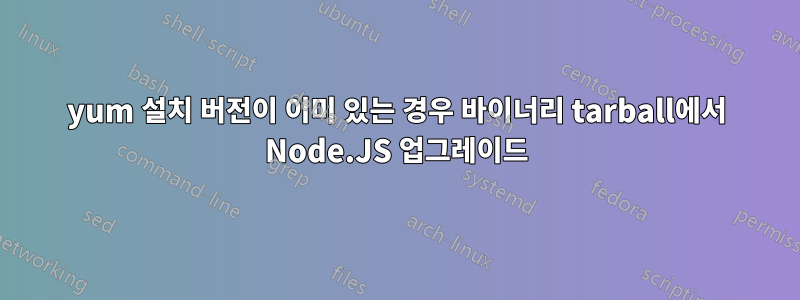 yum 설치 버전이 이미 있는 경우 바이너리 tarball에서 Node.JS 업그레이드