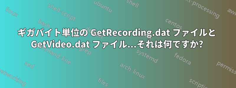 ギガバイト単位の GetRecording.dat ファイルと GetVideo.dat ファイル...それは何ですか?