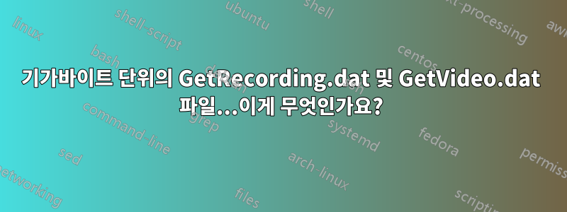 기가바이트 단위의 GetRecording.dat 및 GetVideo.dat 파일...이게 무엇인가요?