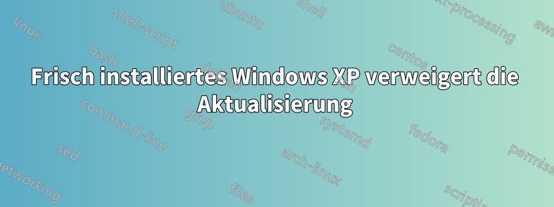 Frisch installiertes Windows XP verweigert die Aktualisierung