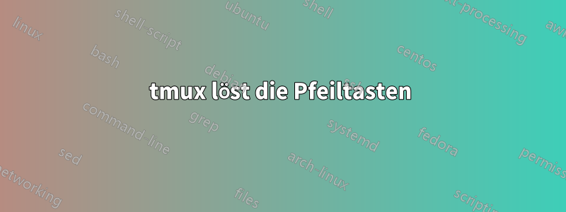 tmux löst die Pfeiltasten