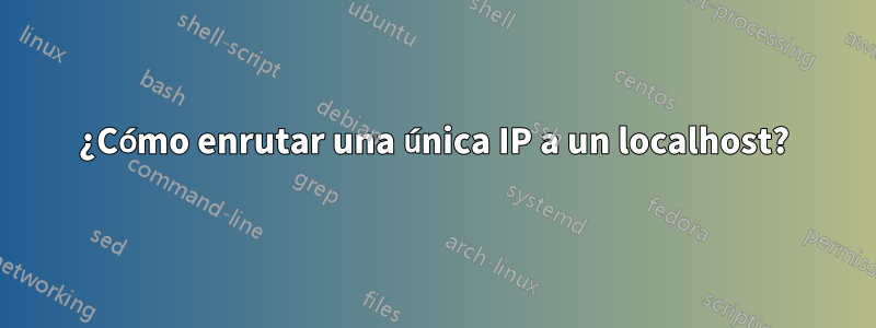 ¿Cómo enrutar una única IP a un localhost?