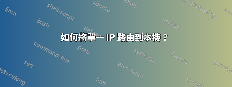 如何將單一 IP 路由到本機？