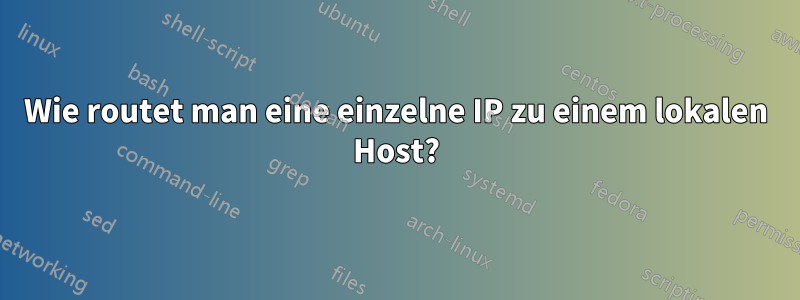 Wie routet man eine einzelne IP zu einem lokalen Host?