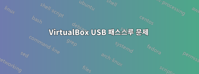 VirtualBox USB 패스스루 문제