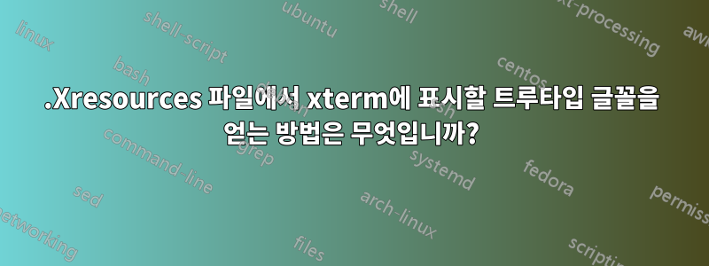 .Xresources 파일에서 xterm에 표시할 트루타입 글꼴을 얻는 방법은 무엇입니까?